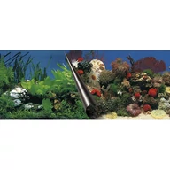 Poszter 60 x 30 stone + coral
