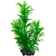 Műnövény Tetra Green Cabomba L