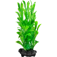 Műnövény Tetra Hygrophila L