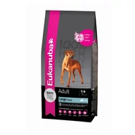 Eukanuba adult large 15Kg               