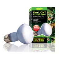 Exo-terra Daylight basking spot 50w pt2131          