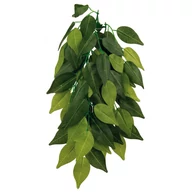 Műnövény Ficus L exo-terra pt3050                    