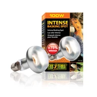 Exo-terra Intense Basking spot 100w                      