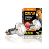 Exo-Terra Intense Basking spot 50w          