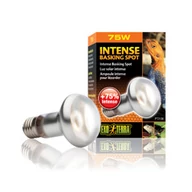 Exo-terra Intense Basking spot 75w       