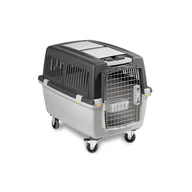 Szállító box Gulliver 4 iata                  