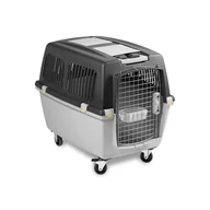 Szállító box Gulliver 5 iata                  