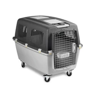 Szállító box Gulliver 6 iata                 