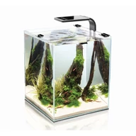 Shrimp Set 10L                          