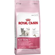 Royal canin Kitten 10 kg                   