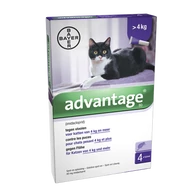 Advantage 80 spot-on 4 X 0,8ml                   