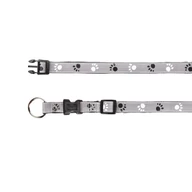 Silver Reflect trx12221     Silver Reflect trx12221