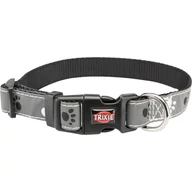 Silver Reflect trx12223     