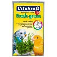 Vitakraft kismag Fresh-green fűmag 40g                 