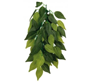 Terráriumi műnövény Ficus 50cm trx76240