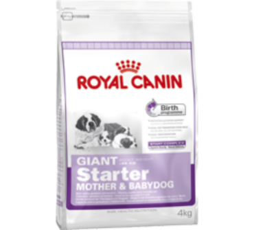 Royal Canin giant starter 4kg                    