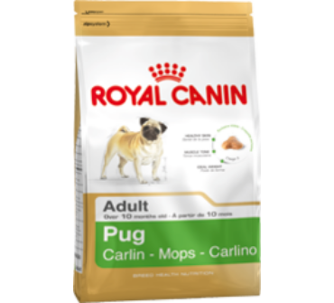 Royal Canin Pug adult 1,5Kg                           