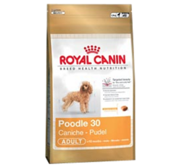 Royal Canin Poodle adult 1,5 kg                      