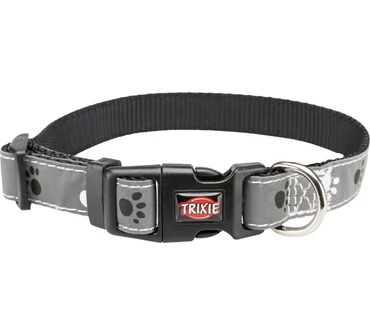 Silver Reflect trx12223     