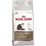 Royal Canin ageing+12 4Kg                        